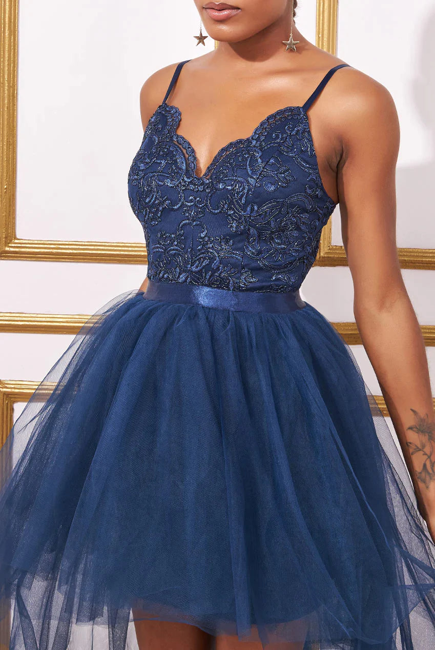 Tulle Ballet Skirt With Lace Bodice Hight Low Navy Dress
